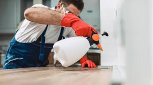 Emergency Pest Control Services in Pea Ridge, FL